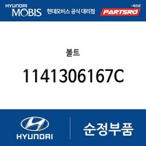 볼트 (1141306167C) 뉴 슈퍼 에어로 시티 E카운티 쏠라티 쏠라티 특장 아반떼 제네시스 GV70 아반떼