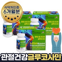 N-아세틸글루코사민 JOINT 디메틸설폰 6개월
