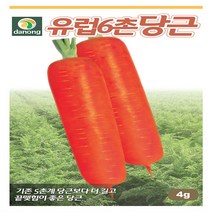 유럽6촌당근 씨앗 4g, 1개