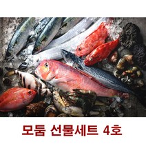 특대형 제주바다 생선 옥돔세트 갈치세트 해산물 추석 2호 고등어 설선물 고급 수산물세트 선물세트, 단품