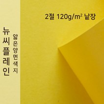 뉴씨플레인 종이문화 얇은 양면색지 120g 2절 낱장 1매 No.06 연노랑색, 1장