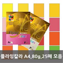 플라잉칼라 A4/80g/25매모음, 플라잉칼라 P35
