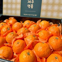[산지직송] 바꾼이네 고당도 달콤한 제주 카라향 가정용 선물용 2kg 3kg 5kg 10kg, 가정용 카라향 10kg 45-90과