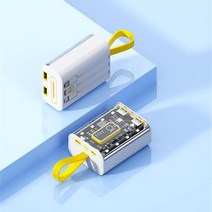 병아리부화기 투명 및 눈에 보이는 대용량 충전 보물 20000mAh 모바일 전원 배터리 펑크 메크 스타일 고속 보조베터리, 2.04 - 20000mah, 1개
