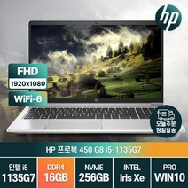 HP 프로북 450 G8 11세대 i5-1135G7 인텔 아이리스 Xe 그래픽스 가성비 노트북, 464P0AV, WIN10 Pro, 16GB, 256GB, 코어i5, 실버