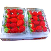 딸기1KG팩 장희딸기 주촌딸기 설향딸기, 1박스