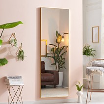 에이스홈 크리스탈 와이드L 전신거울, 골드 / MA116_GLD, 벽걸이형