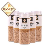 정품 카무트 쌀 고대곡물 기능성쌀 (1kgX5개), 카무트 1kg X 5개 (용기)