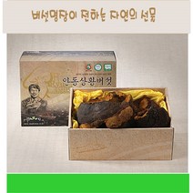 상황버섯 덩어리 목질진흙버섯 균사체 야생 자연 뽕나무상황버섯 효능 아가리쿠스 차 물 장수 펠리누스린테우스 본초강목 먹는방법 면역 365 ply 무농약 명품 류충현 국내산, 300g, 300g