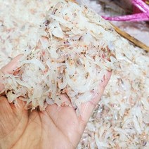 신안산 김장용 생새우 동백하 3kg, 1개