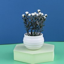 매화분재 소나무 그린피아 철쭉 찔레 미니 인공 알로에 베라 분재 작은 시뮬레이션 나무 화분 꽃 책상 장, 05 5