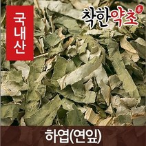 착한약초 국내산 몸에좋은약초 150종, 12YI_국산 하엽(연잎) 600g, 1개