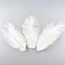 공예용깃털 펜 먼지털이 10 개 자연 염색 솜털 부드러운 타조 공예 DIY 바느질 보석 만들기 드레스 웨딩 장, 06 White feathers