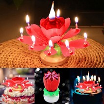 생일축하파티 멜로디 회전 케이크 생일초 연꽃초 IP, 퍼플
