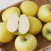 연두빛의 황금사과 시나노골드 과일 가정용 중과, 1.5kg 가정용 중과 (5-10과)
