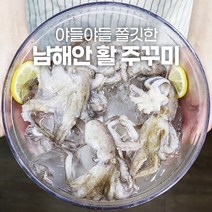 통영 활 쭈꾸미 주꾸미 1kg 5kg 10kg 제철 시세 생물, 통영 활 주꾸미 6kg