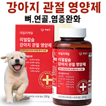 강아지 관절 영양제 뼈 연골 염증완화 슬개골 탈구 단백 보스웰리아 글루코사민 칼슘 MSM 데일리 케얼 관절 영양제 펫생각, 1통 (2개월)
