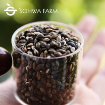 2022년 국산 볶은 검정보리차 500g 블랙보리차