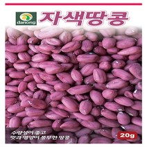 다-자색땅콩 20g