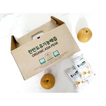 시원한 음료 생각날땐100% 국내산 유기농 생배로만든 NFC 착즙 주스, 90개