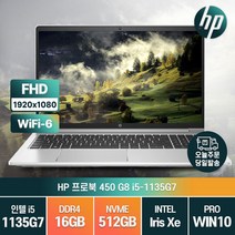 HP 프로북 450 G8 i5-1135G7 게임 그래픽 디자인 업무용 주식 사무용 가성비 노트북, 464P0AV, WIN10 Pro, 16GB, 512GB, 코어i5, 실버
