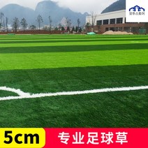 고급 고밀도 인조 잔디 매트 정원 롤 베란다 배수판 축구 전원 마당 옥상 골프 조경 테라스 보호, 5.0cm 충전형 프로축구 풀