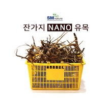 SM 가지 나노 유목 [1box]