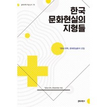 한국 문화현실의 지형들 : 문화/과학 문화현실분석 선집