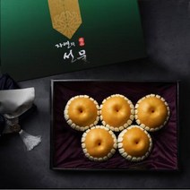 명품 나주배세트 5kg 5-6과 (선물/제수용), 1개