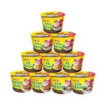 오뚜기 컵밥 비빔밥 10개세트 (차돌강된장2+전주돌솥비빔밥3+톡톡김치알밥3+곤드레나물밥2) 빠른배송