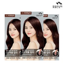 꽃을든남자 염색약 CS 먹물 헤어칼라 N4 자연흑갈색x3개 새치커버용, 3개, N4 자연흑갈색