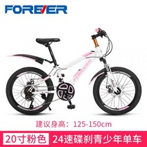 몽구스 mtb 산악 티타늄자전거 다혼스피드D9 제트스트림 사바파이크 k3 팻바이크 티티카카 자이언트, 20 인치, D7 24단