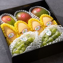 특별한 추석 과일 선물 13종 허니듀 멜론 태국망고 브라질 애플망고 선물세트 김천 샤인머스켓 선물세트 허니글로우 파인애플 페루 아보카도 부모님 추석선물, 애플망고 태국망고 샤인머스켓 선물세트 9과