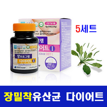 포스트 바이오틱스 장 유산균 단기 다이어트 RGG 밀착유산균 누에고치 실크 피브로인 가루 분말 스틱 락토바실러스 가세리 람노서스 가르시니아 캄보지아 체지방 뱃살 체중 감소, harammall, 5box