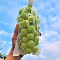 씨없는 포도 샤인머스켓 2kg 4kg, 1.(가정용) 샤인머스캣 1kg (2~3수)