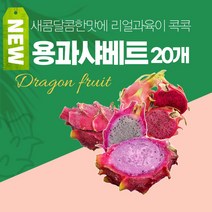 [무료배송]용과샤베트 20개