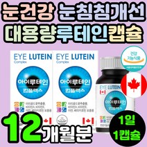 30대 40대 눈에 좋은 영양제 캐나다 루테인 20MG 눈 건강 기능 식품 피로 침침 직장인 포도씨 마리골드 메리골드 추출물 눈의 피로 시력 보호 안구 정화 빌베리 뉴테인 루데인