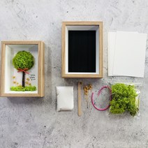 DIY스칸디아모스로 나무만들기 키트(사각 액자) DIY 공기정화식물 천연이끼, 모스그린
