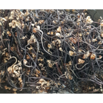 건강한 밥상 건고사리 말린고사리1kg(중국산), 1개