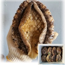 산지직송 국산 통영 자연산 전복 활전복 1kg 해녀가 직접 잡은 대 특대 왕특대 스페셜, 3_1. 왕특대 전복 500g(2~3미)