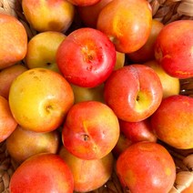 성주 새콤달콤 노지자두 1.5kg~5kg, 5kg (개당중량 51-90g), 1개