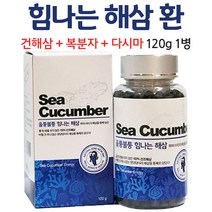 말린 해삼 환 건조해삼 100% 해삼엑기스X 건해삼 복분자 엉겅퀴 숙지황 산수유 표고버섯 검정깨 다시마 힘나는 부모님 선물 생신선물 건강선물 선물세트, 1병, 120g