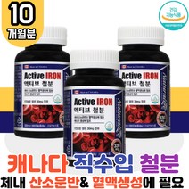 대용량 고함량 철분 철분제 3박스 임산부 산모 어린이 영양제 캐나다산 직수입 온가족 성장기 키즈 초등학생 유아 여성 청소년 노인 직장인 캡슐 혈액 생성 산소운반 철 추천 푸마르산제일철 Iron 출산 선물 임신 축하 선물 보조제 보충제 직구