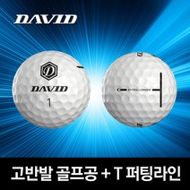 데이비드 고반발 골프공 비거리 골프볼 20구 / 40구 + 자석티, 2개, 혼합색상