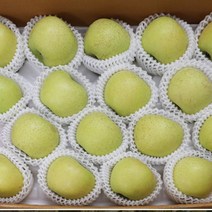 시나노 골드 사과 5kg 노란사과 괴산황금사과, 괴산 시나노골드 중소과 5kg