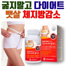 뱃살빼기 복부지방 탄수화물컷 감소 가르시니아 다이어트 살빼는법 hca 녹차 흰강낭콩 추출물 성인 남자
