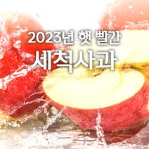 저탄소인증 껍질째먹는 경북 세척사과 당도선별 부사 개별포장 소과 중과 2kg 3kg 5kg, 2kg 소과(꼬마)11~14과, 1개