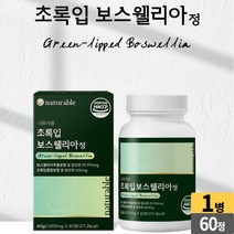 초록입 보스웰리아 보스웰릭산 뉴질랜드산 초록입홍합 AKBA KBA 함유, 01개(1개월), 60 알
