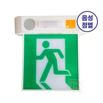 국산정품 리더스테크 음성점멸 유도등 소/중/대/천정대형, 천장대형