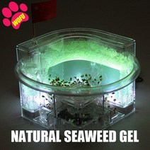 WOFUWOFU인젝트 호텔 개미 농장 발광 오션 뷰 빌라 큰 집 둥지 곤충 애완동물, 03 green with light